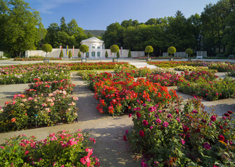 Rosen im Doblhoffpark, Rosarium, Baden bei Wien, Niederösterreich, Österreich