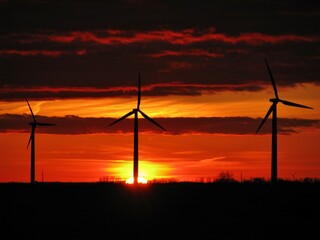 Obraz premium wind turbines at sunset