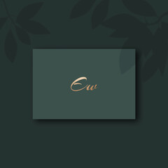 Ew logo design vector image