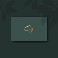 Eg logo design vector image