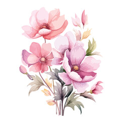 Watercolor Flower clipart isolated on white background
