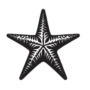 starfish silhouette images,starfish silhouette clipart  ,starfish silhouette svg , starfish silhouette  png 