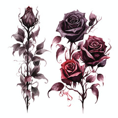 Watercolor Gothic Roses Clipart 