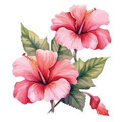 Watercolor Hibiscus Flowers Clipart 