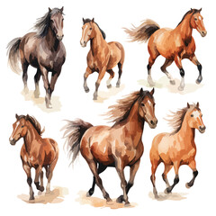 Watercolor Horses Clipart isolated on white background