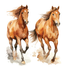 Watercolor Horses Clipart isolated on white background
