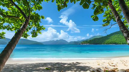 A pristine beach with powdery white sand and turquoise waters, framed by palm trees and a cloudless sky