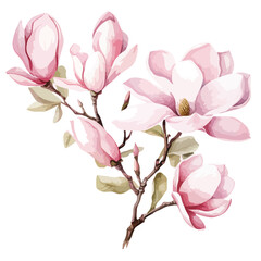 Watercolor Magnolias Clipart 