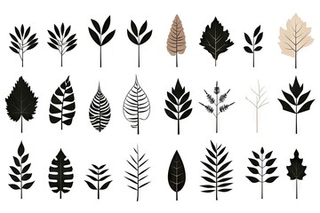 Autumn Leaves Silhouettes, Foliage Silhouette Isolated, Fall Tree Leaf Shapes With Maple, Oak, Birch and Other