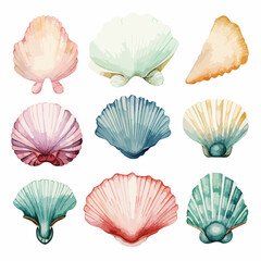 Watercolor seashell clipart 