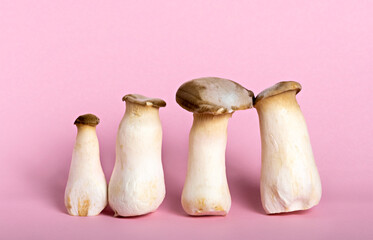 King oyster mushrooms on pink background