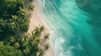 Serene tropical beach aerial view at midday