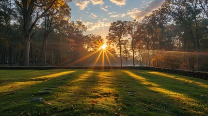 Sunrise casting a golden glow through the trees in a serene park, with rays of light piercing the morning mist.