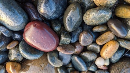 The Multi Cultural Rocks of Swamis Beach. Rounded and polished from tumbling in fast moving streams...