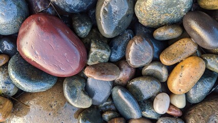 The Multi Cultural Rocks of Swamis Beach. Rounded and polished from tumbling in fast moving streams...