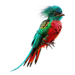 resplendent quetzal bird on isolated transparent background