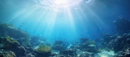 Sunbeams shining on fish and coral in a deep-sea underwater reef