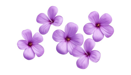 flying purple flowers isolated on transparent background cutout
