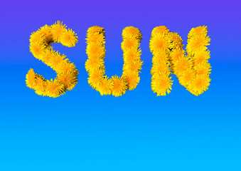 Word sun made of yellow dandelion flowers on blue background with gradient. A blank for a postcard or banner.