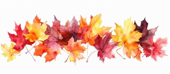 Fototapeta premium A group of vibrant watercolor maple leaves in various shades of red, orange, and yellow, placed on a clean white background The leaves are arranged in a decorative manner, creating a captivating 