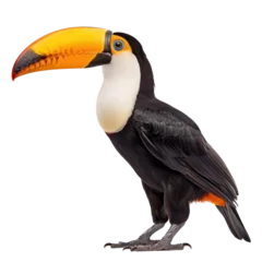 Foto op Aluminium toucan on isolated transparent background © Rushi