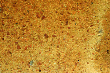 cement texture with striking yellow stone grains. for background and wallpaper
