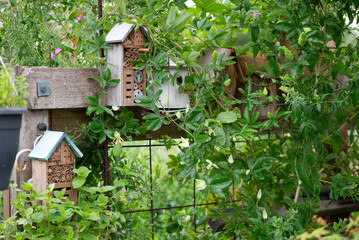 Fototapeta na wymiar Wooden birdhouse perched on wooden fence in landscaped garden
