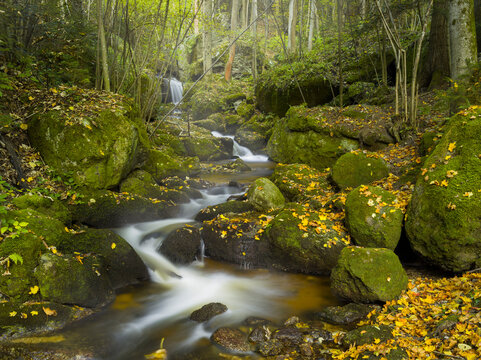 Ysper Klamm, Ysper Bach, Waldviertel, Nieder&ouml;sterreich, &Ouml;sterreich