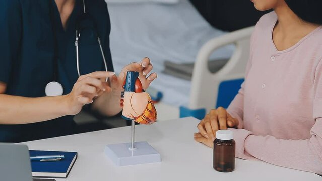 Cardiology consultation, treatment of heart disease. Doctor cardiologist while consultation showing anatomical model of human heart