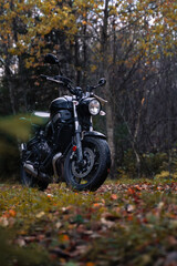motorcycle in the woods