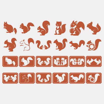  collection of squirrel logos