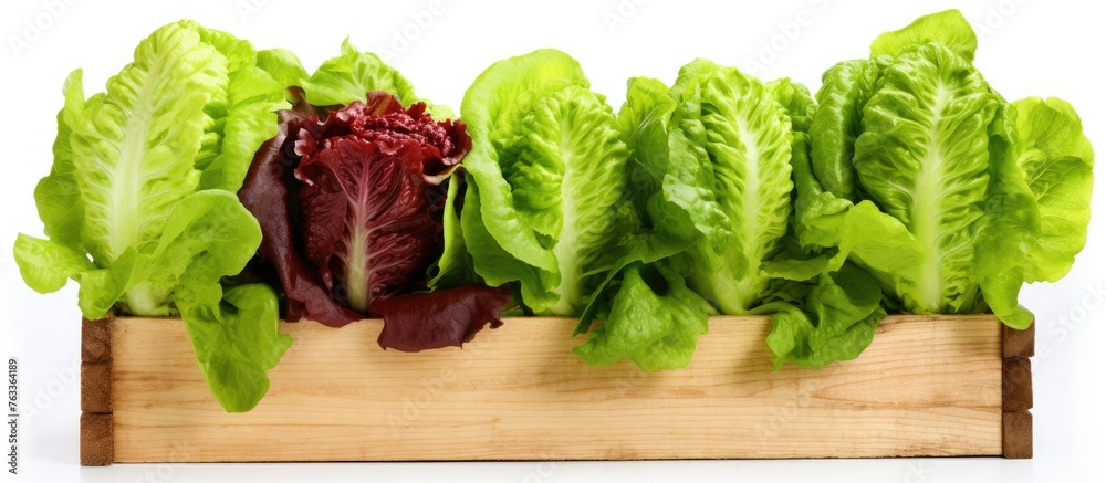 Poster assorted lettuce in a wooden crate on a white surface