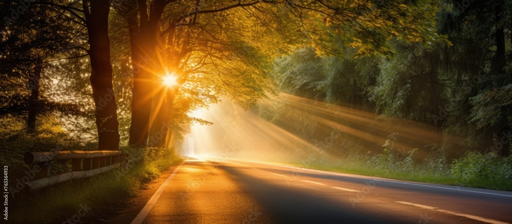 Poster sun rays shining through trees on a road