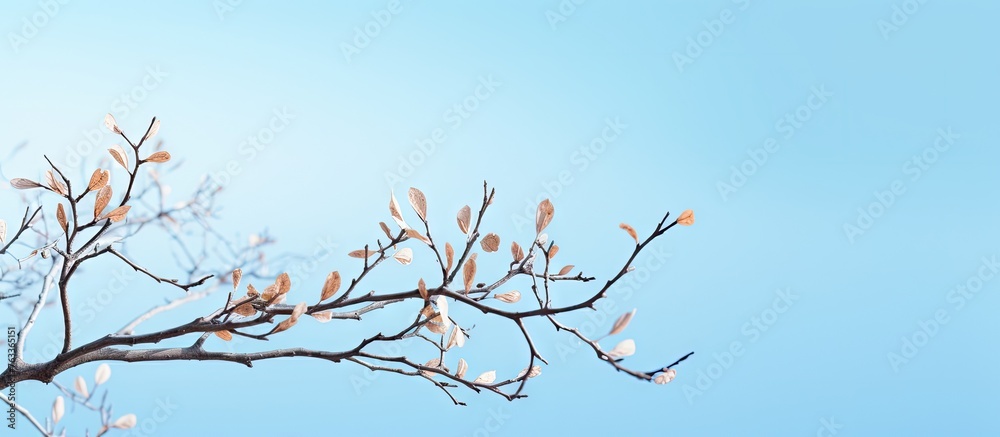 Poster close-up of a leafy tree branch