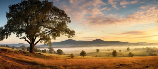 Fototapeta premium A misty landscape with a tree in a meadow framed by mountains