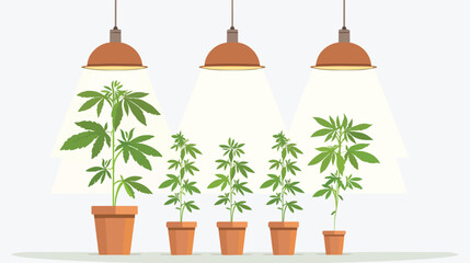Indoor Growing Marijuana flat vector 