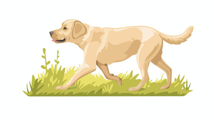 Labrador retriever dog walking in park flat vector