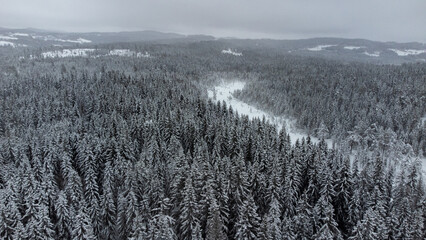 snow covered mountains