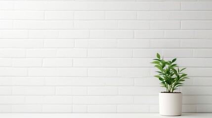 A white brick wall with empty space and a potted plant