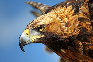 Majestic eagle soaring, clear blue sky background, close-up, powerful gaze, wildlife in action - Powered by Adobe