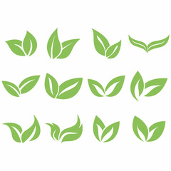 Fototapeta premium Collection of leaf logos