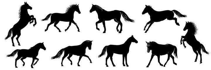 horse vector - obrazy, fototapety, plakaty