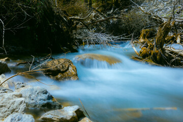 Jiuzhaigou Valley, Aba Qiang and Tibetan Autonomous Prefecture, Sichuan Province - Streams and waterfalls in the forest