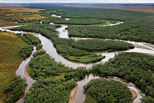 Braided river ecosystem for salmon spawning in Kamchatka, Russia