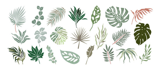 Obrazy  Set of Different tropical leaves elegant colorful vector drawings. Hand drawn botanical illustrations for greeting, invitation cards, logo, packaging design isolated on transparent background.