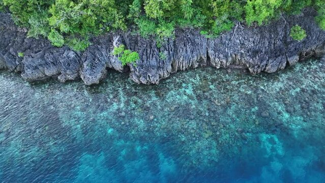A beautiful coral reef fringes a limestone island in Raja Ampat. This region of Indonesia is known as the heart of the Coral Triangle due to the extraordinary marine biodiversity found there.