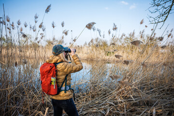 Woman naturalist is watching birds with binoculars. Observation wildlife animals at lake - obrazy, fototapety, plakaty