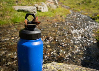 Conserving Water and Insects in Natural Habitats,  butterfly Resting on a Blue Water Bottle in Nature - 763379369