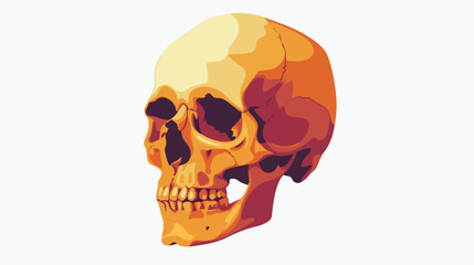 Skull icon. Halloween icon.  flat vector isolated on