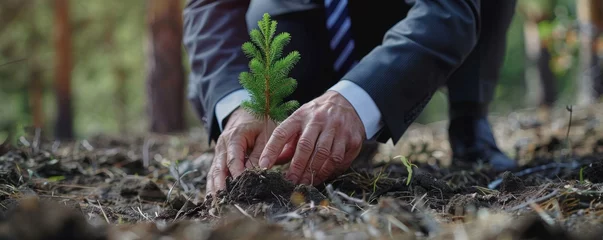 Cercles muraux Dans la rue A business leader planting a tree in a deforested area, showing personal commitment to environmental restoration